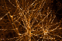 chain of lights for christmas