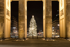 brandenburger tor and christmas tree