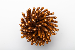 Pretzel sticks on white